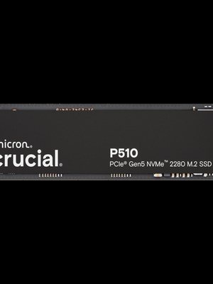  CRUCIAL CT1000P510SSD8  Hover