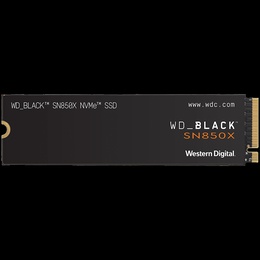  WESTERN DIGITAL WDS100T2X0E-00BCA0