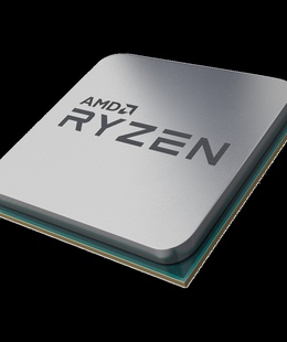  AMD 100-100000255MPK  Hover