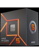  AMD 100-100001015BOX