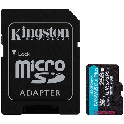  KINGSTON SDCG3/256GB