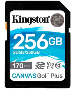  KINGSTON SDG3/256GB  Hover