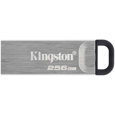  KINGSTON DTKN/256GB