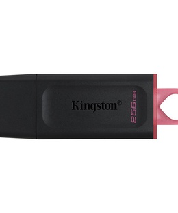  KINGSTON DTX/256GB  Hover