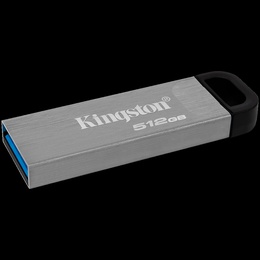  KINGSTON DTKN/512GB