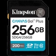  KINGSTON SDG4/256GB