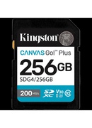  KINGSTON SDG4/256GB