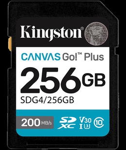 KINGSTON SDG4/256GB  Hover