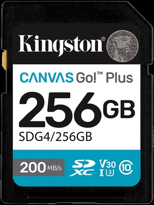  KINGSTON SDG4/256GB  Hover